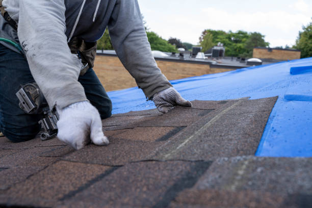 Best Roof Ventilation Installation  in Three Way, TN