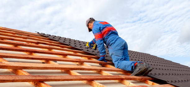 Best Roof Ventilation Installation  in Three Way, TN